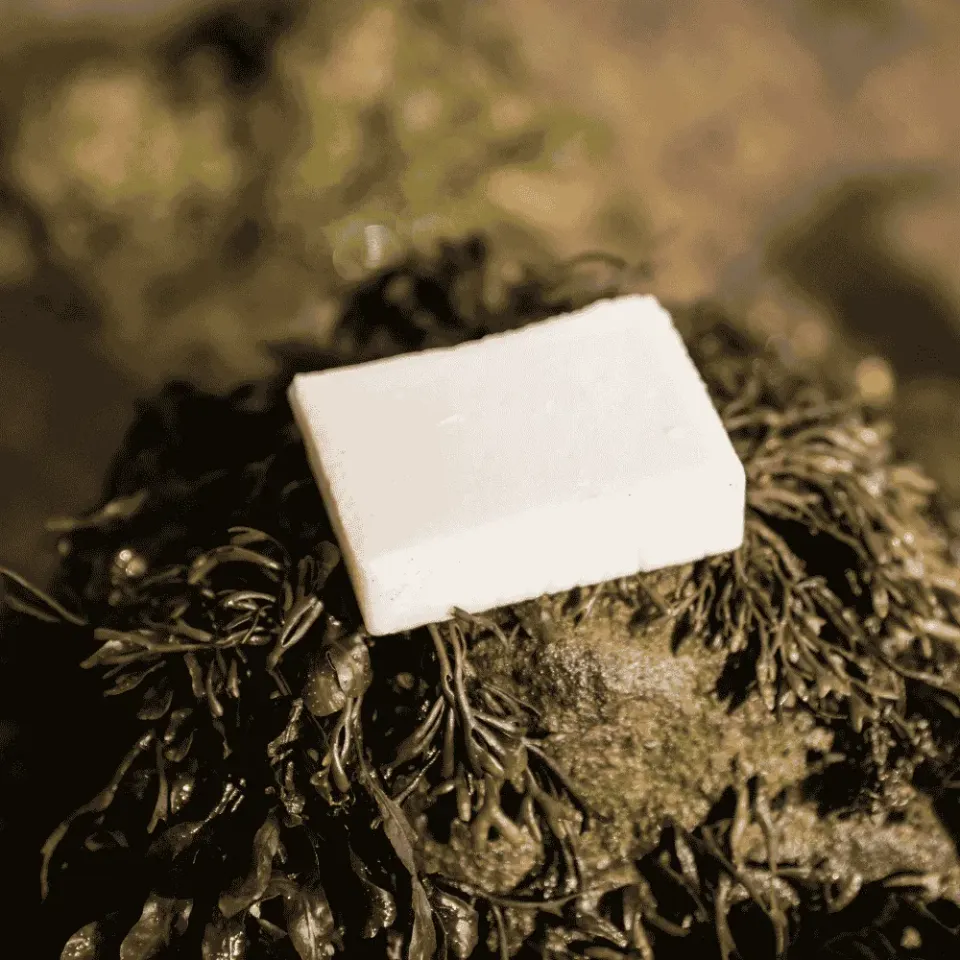 AALGO Olive Oil saponetta viso detergente pelli sensibili