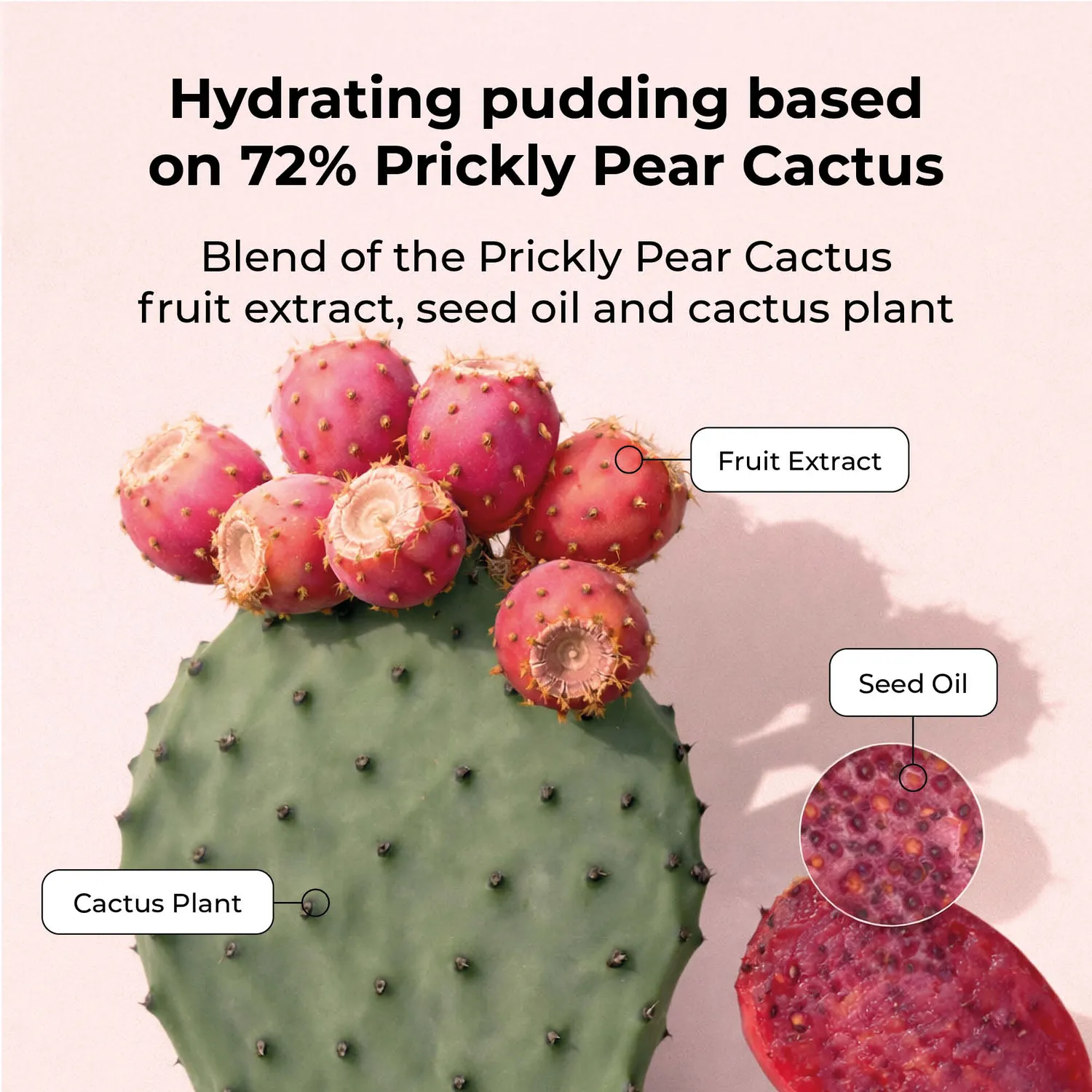 Starskin Orglamic Pink Cactus Pudding crema viso 50ml lenitiva