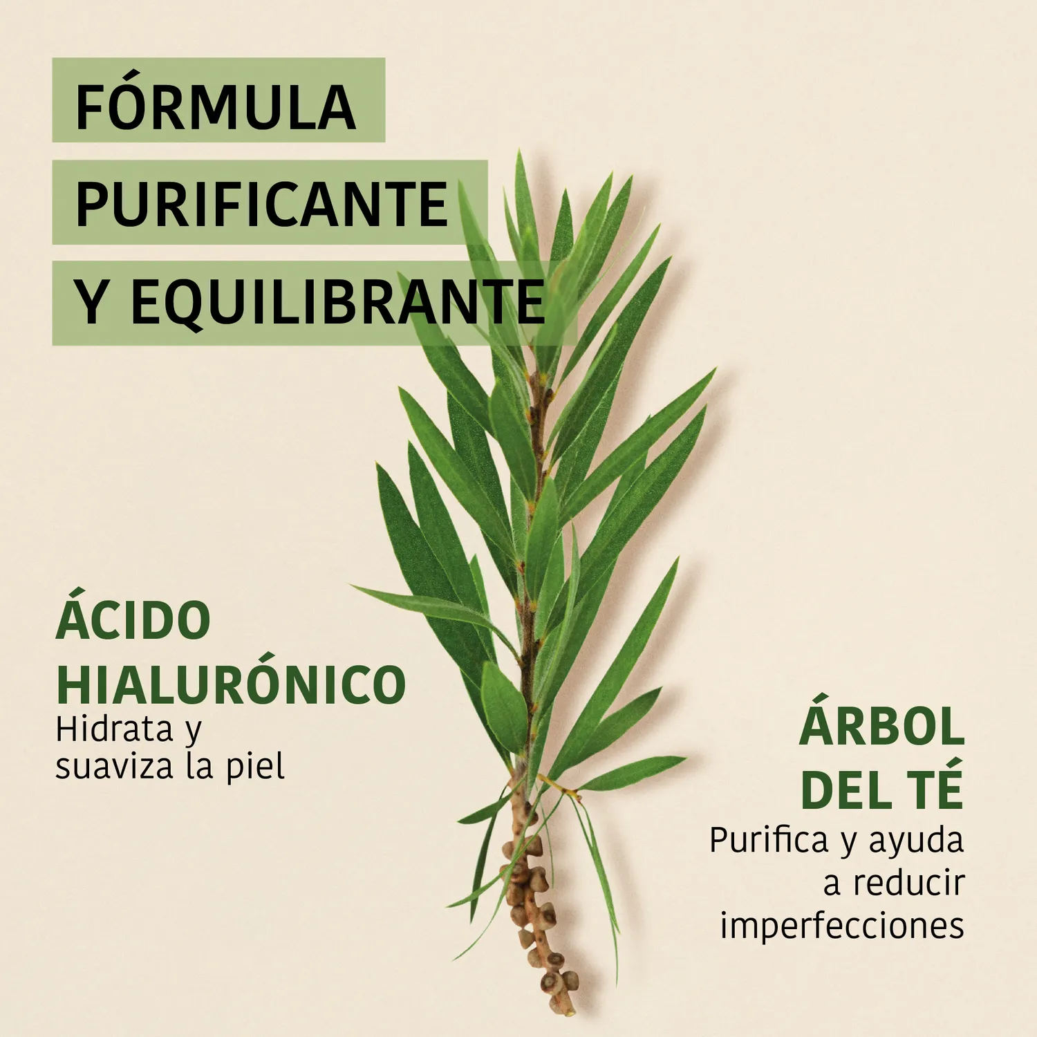 Irohanature Tea Tree maschera viso purificante sebo