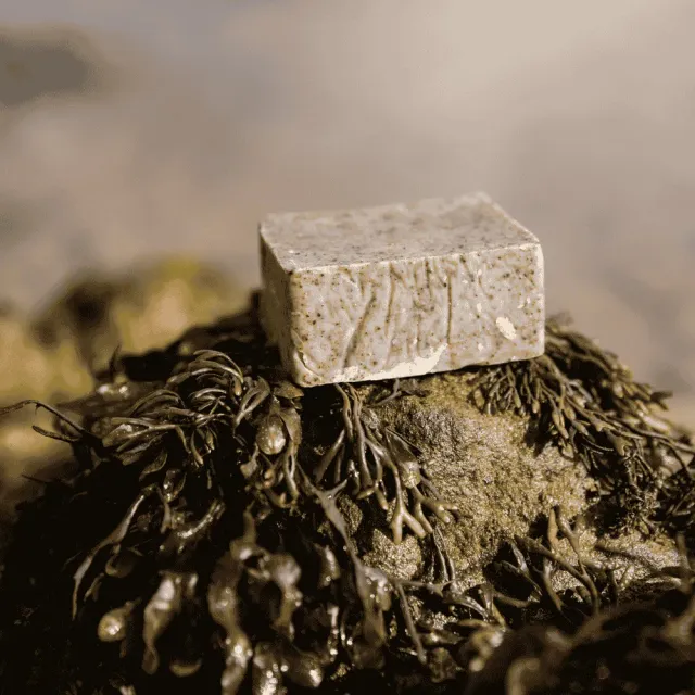 Aalgo Seaweed shampoo solido cute sensibile senza profumo