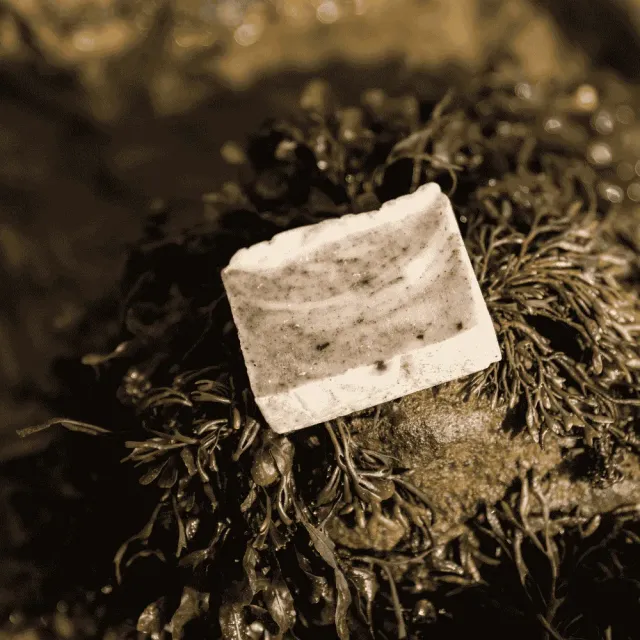 Aalgo Atlantic Seaweed Sapone Solido Alghe Pelli Sensibili