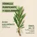 Irohanature Tea Tree maschera viso purificante sebo